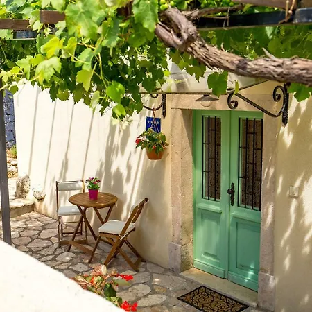 Chiara * 布鲁赛吉