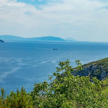 Chiara Pool & Sea View * Brseč