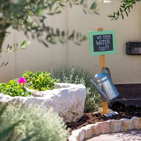 فيلة Chiara Brseč